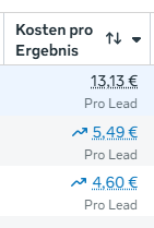 Kosten pro Lead
